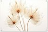 Bloemen - Natuur