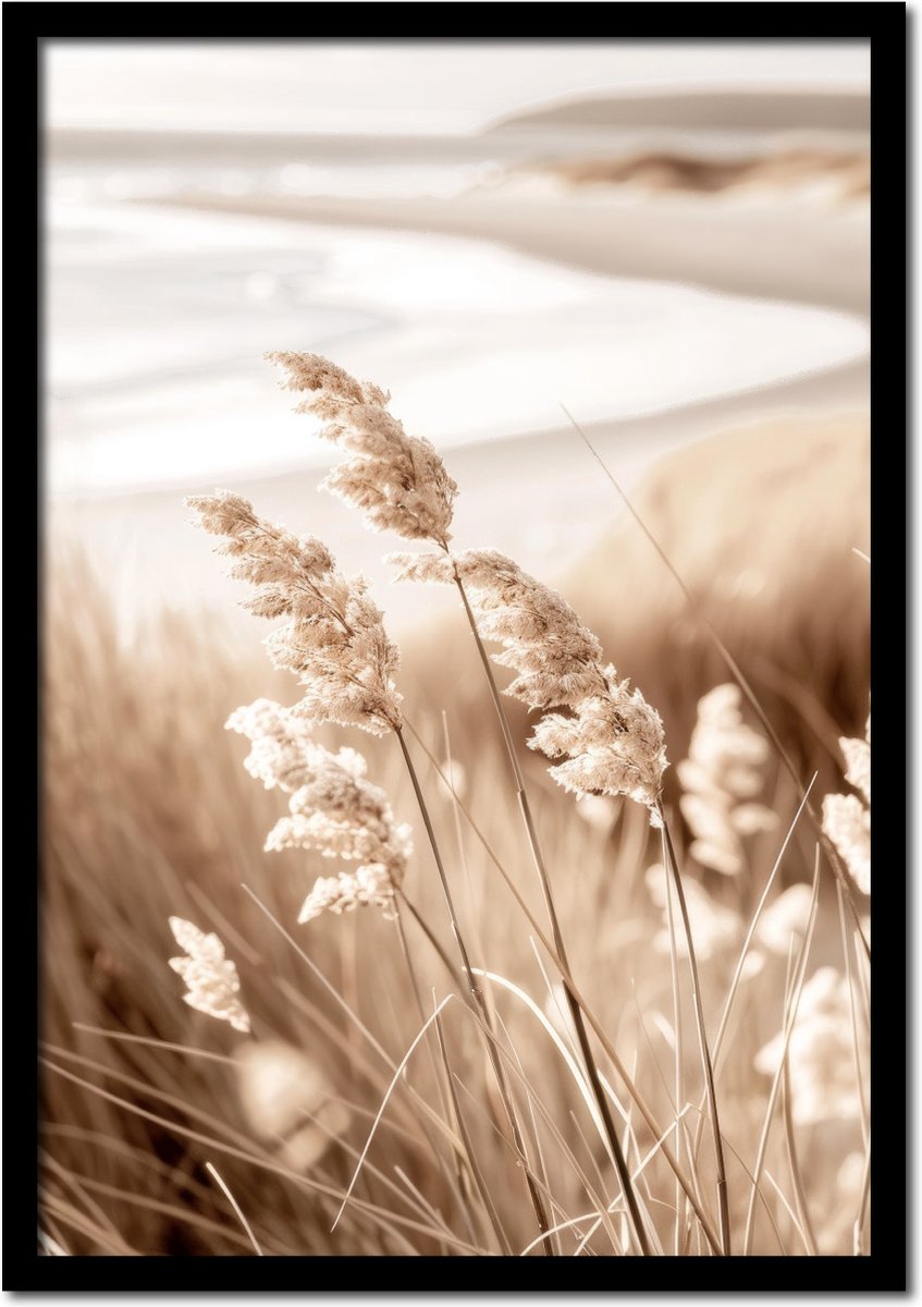 Plakkers Poster siergras op het strand - 21cm x 30cm a4 - vintage - woonkamer - slaapkamer - bloemen posters - goedkoop - muurposter - natuur - wanddecoratie Full-colour
