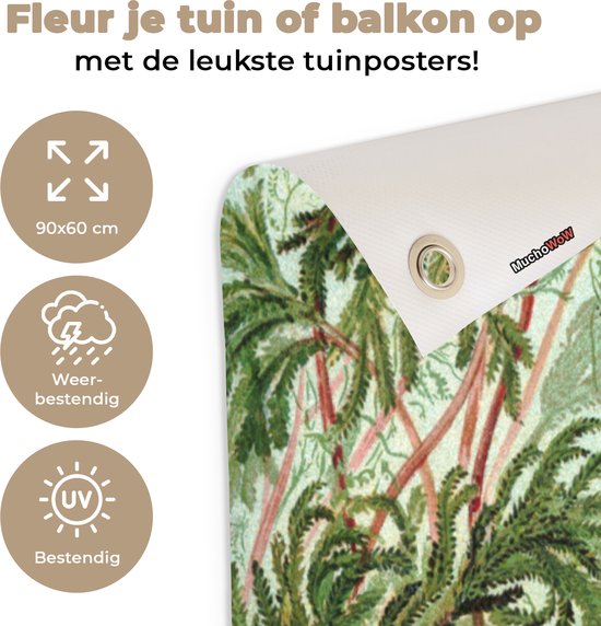 Posters de jardin extérieur Maîtres anciens - Art - Muscinae - Haeckel - 90x60 cm - Toile de jardin - Affiche extérieure