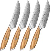 Bol.com Hezhen X01 Flagship Series – Professionele Steakmessenset - Damascus staal (73 laags met poederstalen kern van 14Cr14MoV... aanbieding