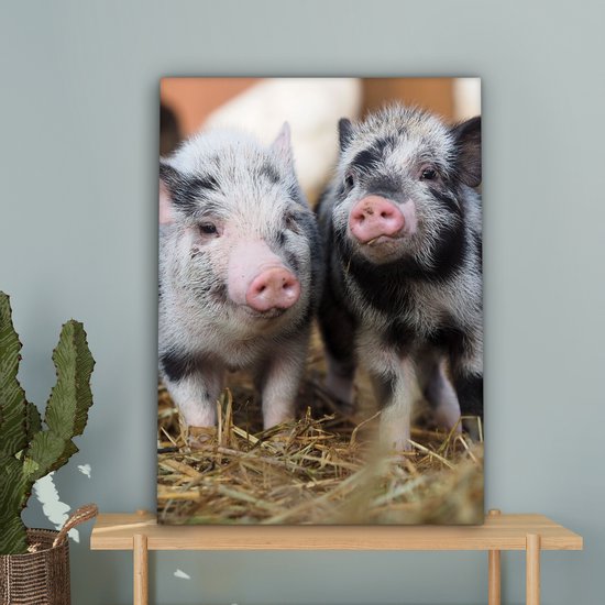 Canvas schilderij 60x80 cm - Wanddecoratie Varken - Dieren - Varkentje - Muurdecoratie woonkamer - Slaapkamer decoratie - Kamer accessoires - Schilderijen