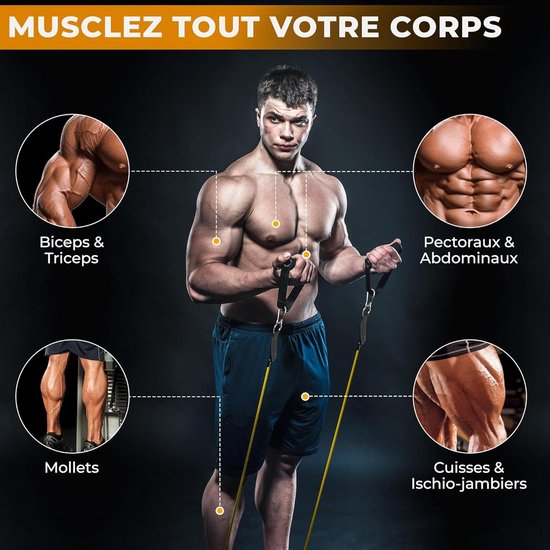 Set De 5 Bandes De Résistance – Latex, 150 LBS Total, Avec Poignées, Sangles Cheville, Ancre Porte, Pour Homme/femme