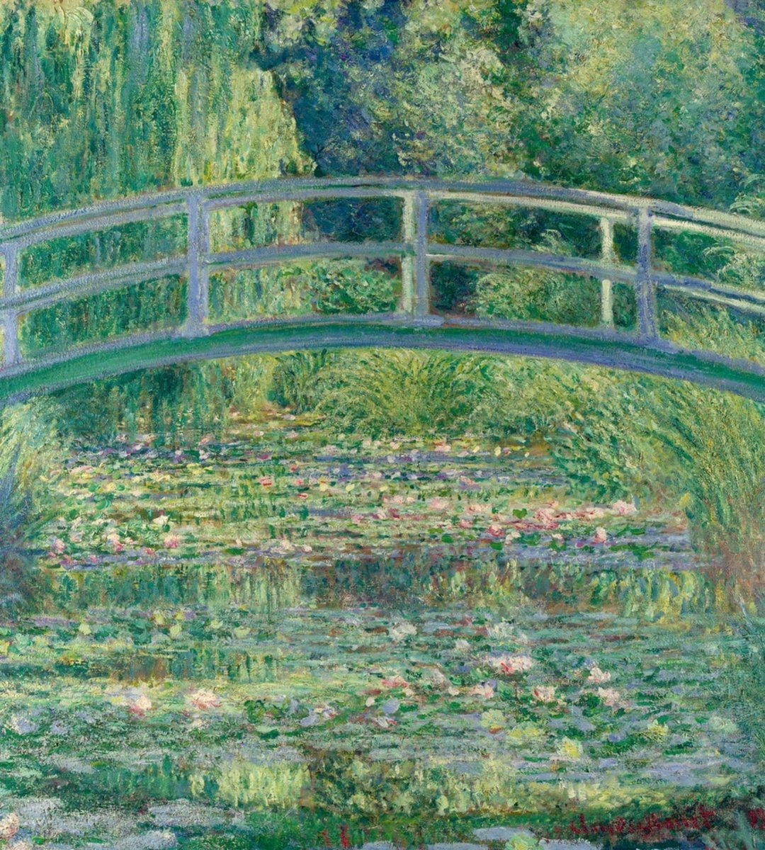 Fotobehang - Water Lily 225x250cm - Vliesbehang