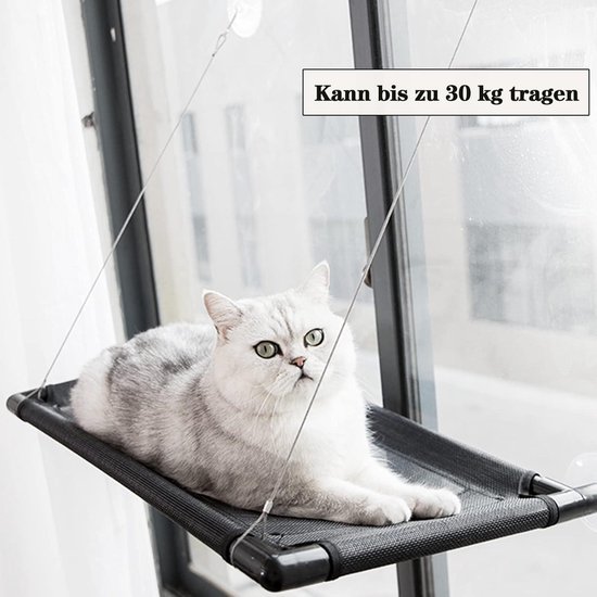 Kattenhangmat