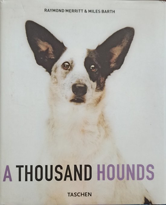 A Thousand Hounds