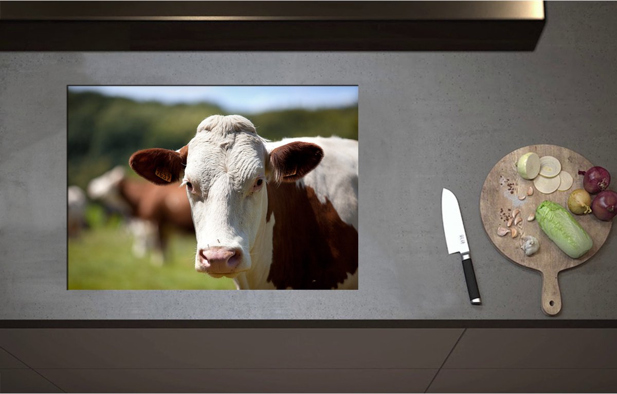 Inductieplaat Beschermer - Bruin met Witte Koe bij Andere Koeien in de Wei - 71x50 cm - 2 mm Dik - Inductie Beschermer - Bescherming Inductiekookplaat - Kookplaat Beschermer van Zwart Vinyl