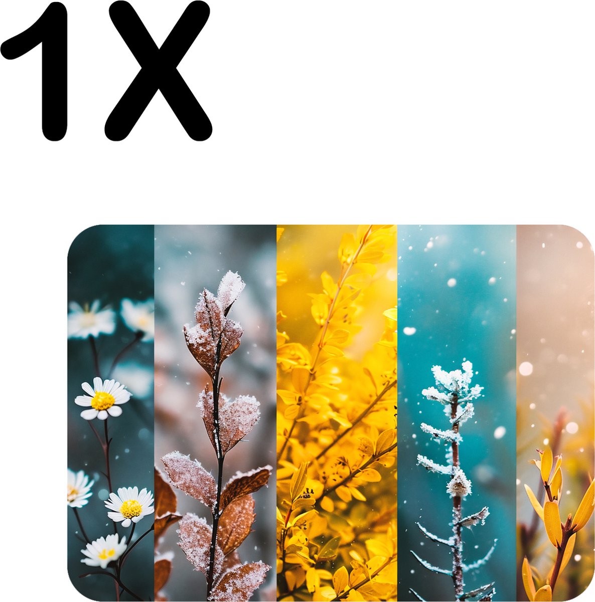 BWK Luxe Placemat - Bloemen in Verschillende Seizoenen - Set van 1 Placemats - 40x30 cm - 2 mm dik Vinyl - Anti Slip - Afneembaar