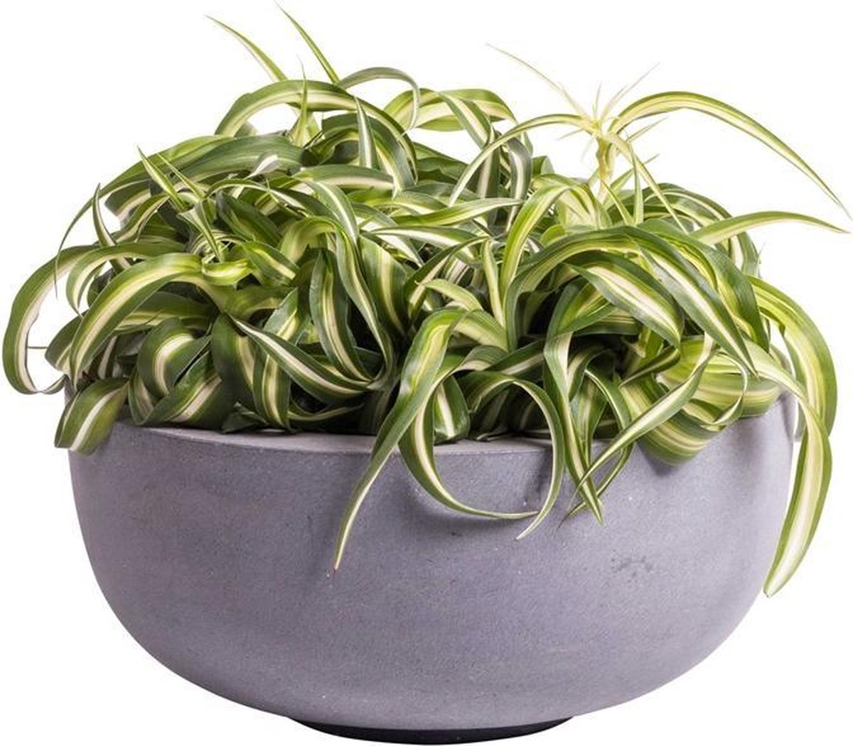 Bloempot Ducos mat zwart/grijs fiberstone Ø33 x H15 cm | Binnen & Buiten