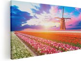 Artaza Canvas Schilderij Kleurrijke Bloemenveld Met Een Windmolen - 60x30 - Foto Op Canvas - Canvas Print