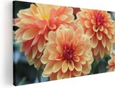 Artaza Canvas Schilderij Oranje Dahlia Bloemen  - 100x50 - Groot - Foto Op Canvas - Canvas Print