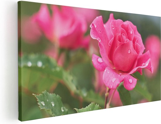 Artaza Canvas Schilderij Roze Roos Met Waterdruppels - 40x20 - Klein - Foto Op Canvas - Canvas Print