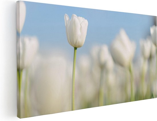 Artaza Canvas Schilderij Witte Tulpen - Bloemen - 40x20 - Klein - Foto Op Canvas - Canvas Print