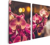 Artaza Canvas Schilderij Tweeluik Roze Orchidee Bloemen - 80x60 - Foto Op Canvas - Canvas Print