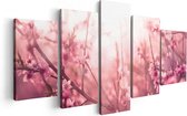 Artaza Canvas Schilderij Vijfluik Roze Bloesemboom Met Zonneschijn - 100x50 - Foto Op Canvas - Canvas Print