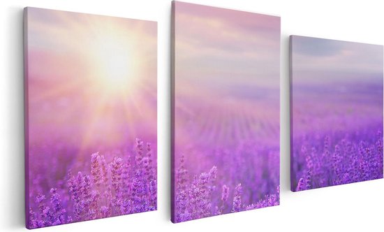 Artaza - Canvas Schilderij - Bloemenveld Met Paarse Lavendel  - Foto Op Canvas - Canvas Print