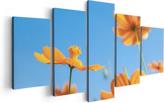 Artaza Canvas Schilderij Vijfluik Oranje Cosmea Bloemen - 100x50 - Foto Op Canvas - Canvas Print