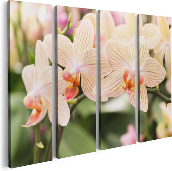 Artaza Canvas Schilderij Vierluik Gestreepte Witte Orchidee Bloemen - 80x60 - Foto Op Canvas - Canvas Print