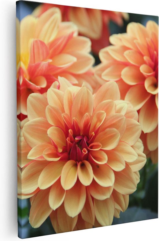 Artaza Canvas Schilderij Oranje Dahlia Bloemen  - 40x50 - Foto Op Canvas - Canvas Print