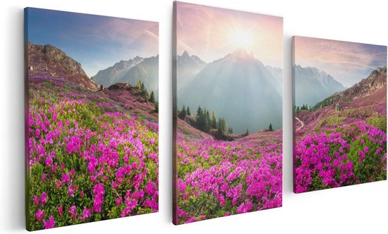 Artaza - Triptyque de peinture sur toile - Champ de fleurs de rhododendrons dans les Alpes - 120x60 - Photo sur toile - Impression sur toile