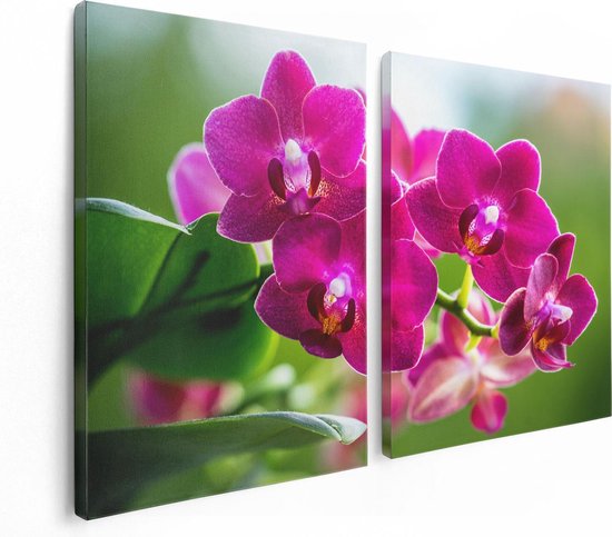 Artaza Canvas Schilderij Tweeluik Roze Orchidee Bloemen - 120x80 - Foto Op Canvas - Canvas Print