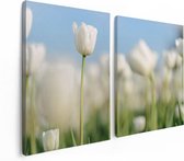 Artaza Canvas Schilderij Tweeluik Witte Tulpen - Bloemen - 120x80 - Foto Op Canvas - Canvas Print
