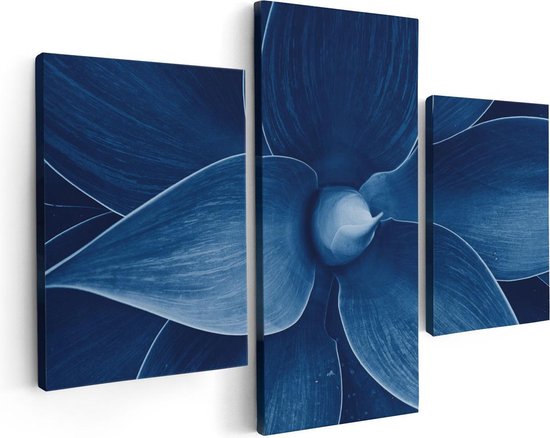 Artaza Canvas Schilderij Drieluik Blauwe Agave Plant - Bloem - 90x60 - Foto Op Canvas - Canvas Print
