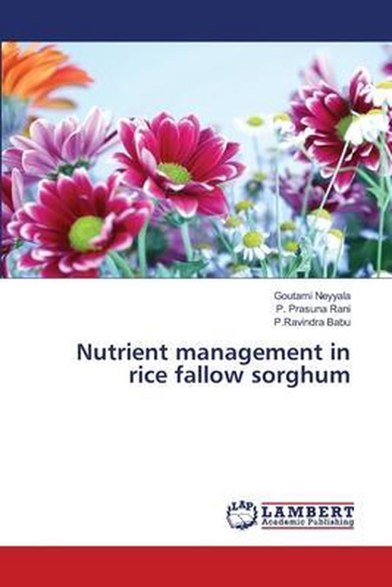 Nutrient management in rice fallow sorghum, GOUTAMI NEYYALA ...
