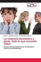 La violencia doméstica a juicio