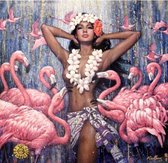 Dielay - Diamond Painting Pakket - Vrouw en Flamingo's - 50x40 cm - Complete Set - Volledige Bedekking - Ronde Steentjes
