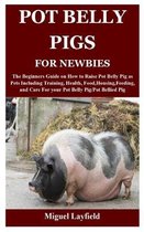 Pot Belly Pigs for Newbies