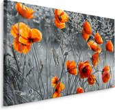 Schilderij -  Prachtige Klaprozen  , Wanddecoratie , Premium print