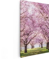 Artaza Canvas Schilderij Roze Bloesembomen Park - Bloemen - 80x120 - Groot - Foto Op Canvas - Canvas Print