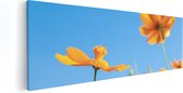Artaza - Peinture sur toile - Fleurs de Cosmea Oranje - 120 x 40 - Groot - Photo sur toile - Impression sur toile
