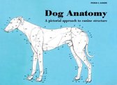 Dog Anatomy PB