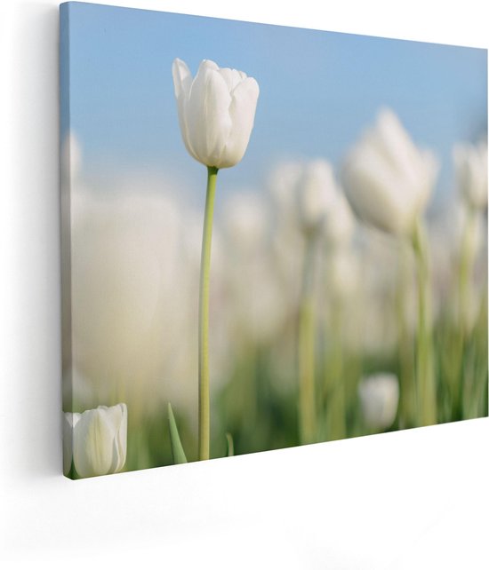 Artaza Canvas Schilderij Witte Tulpen - Bloemen - 50x40 - Foto Op Canvas - Canvas Print