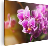 Artaza Canvas Schilderij Paarse Orchidee Bloemen - 40x30 - Klein - Foto Op Canvas - Canvas Print