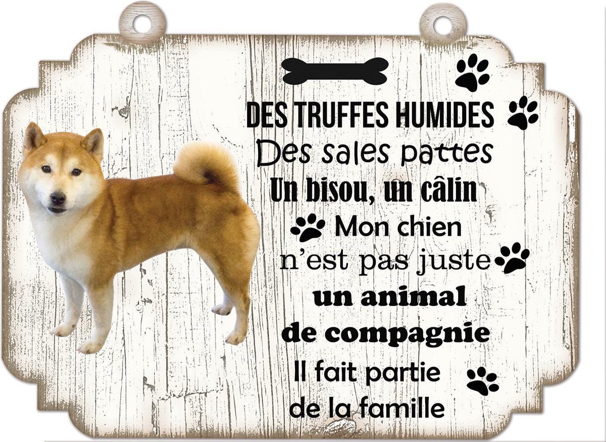 Tableau Déco - Shiba