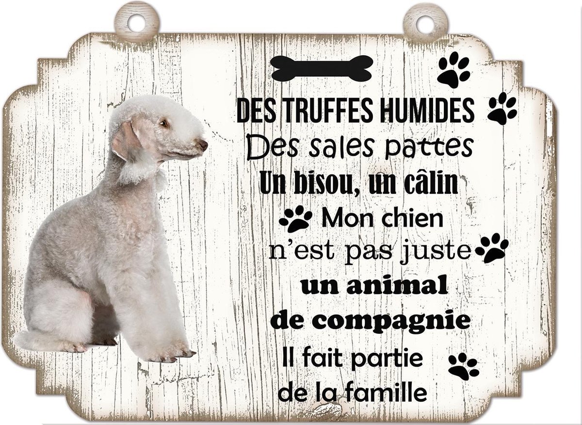 Tableau Déco - Bedlington Terier