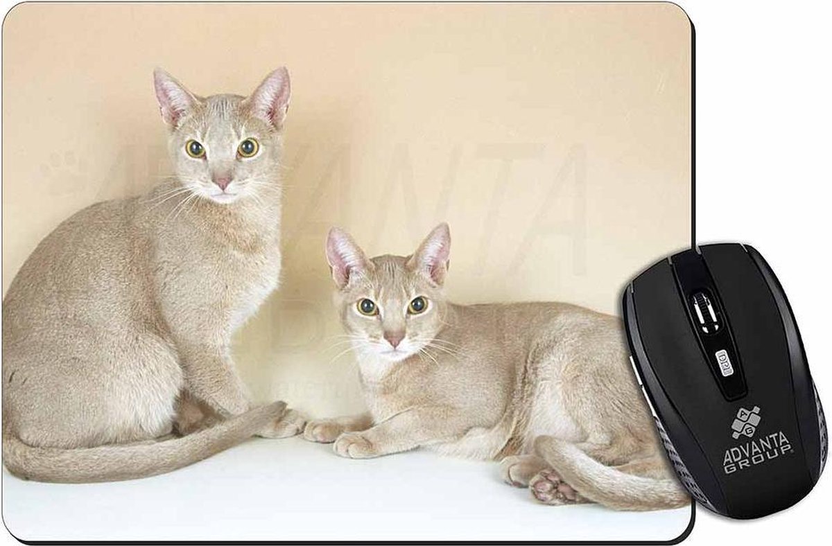 Image of 2 Abessijn Katten Muismat