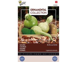 Buzzy Ornamental - Gourd Birdhouse/Bottle (Lagenaria leuc.)