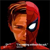 Spiderman Pop Art