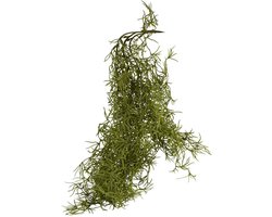 HANGTAK TILANDSIA - 85 CM