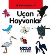 Uçan Hayvanlar   İlk Kelimelerim 5