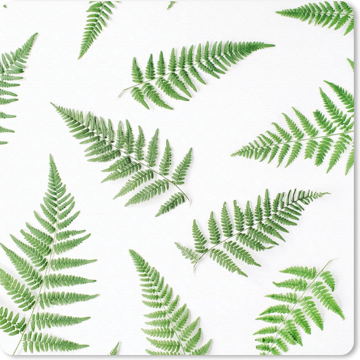 Muismat 20x20 cm - Mousepad Groen - Tropisch - Varen - Muismatten