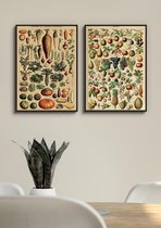 Fotowand Vintage Groenten & Fruit - Botanisch - Poster Set van 2 - 70x50 cm - Schoolplaat - Plant & Tuin