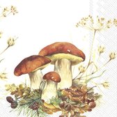 IHR - Boletus edulis - 20 papieren lunch servetten - Paddenstoelen - Herfst - 33x33cm - Decoupage - Servettentechniek