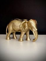 Gold Aluminium Elephant 13 cm hoog - interieur - metaal - figuur - voor binnen - decoratie - geschenk - cadeau - verjaardag - gift - olifant - Afrika - beeldje - goud