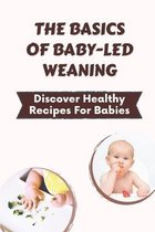 The Basics Of Baby-Led Weaning: Discover Healthy Recipes For Babies