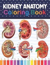 Kidney Anatomy Coloring Book