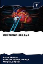 Анатомия сердца